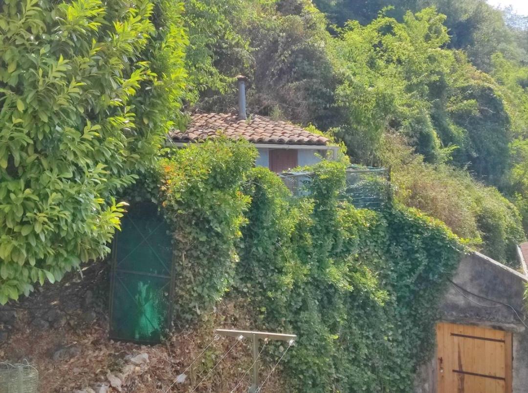Hebergements Entiers Two Homes T1 Bas Or T1 Haut -Aux Terrasses Du Pech Foix Exteriör bild